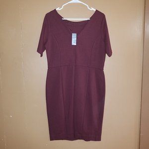 $149 ANN TAYLOR Sz 12-PETITE BURGUNDY SHORT SLEEVE